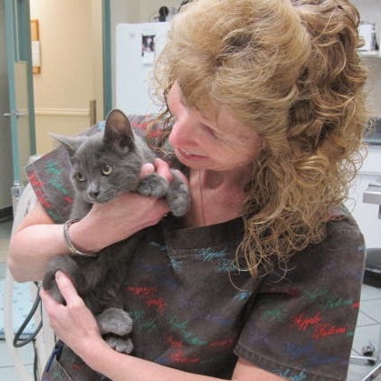 Golf Glen Veterinary Clinic - Aurora , Canada