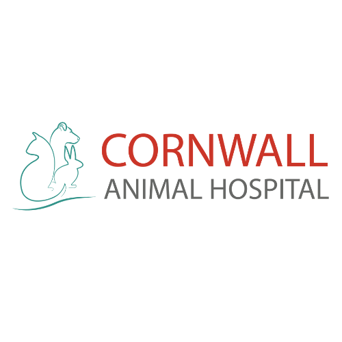 Cornwall Animal Hospital In Oakville - Oakville , Canada