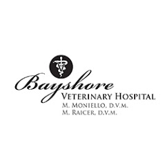 Bayshore Veterinary Hospital - Holmdel , United States
