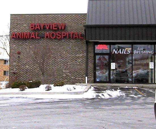 Bayview Animal Hospital - Webster , United States