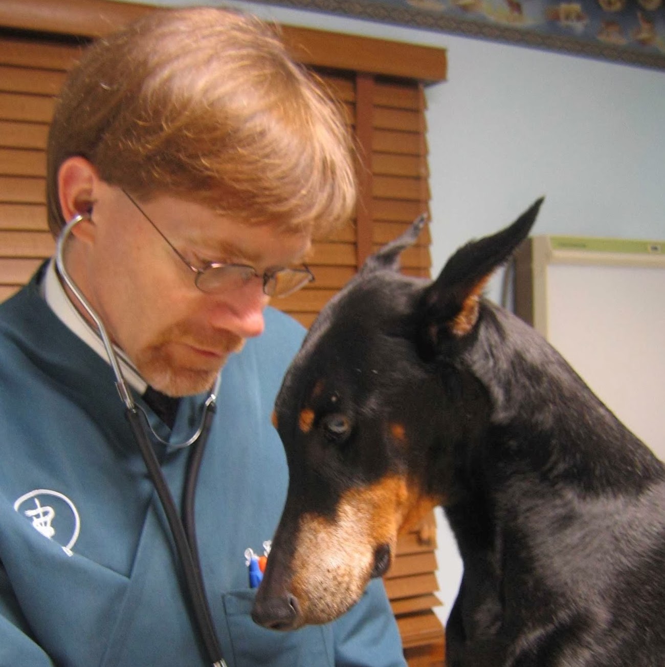 Family Pet Clinic - Menomonee Falls , United States