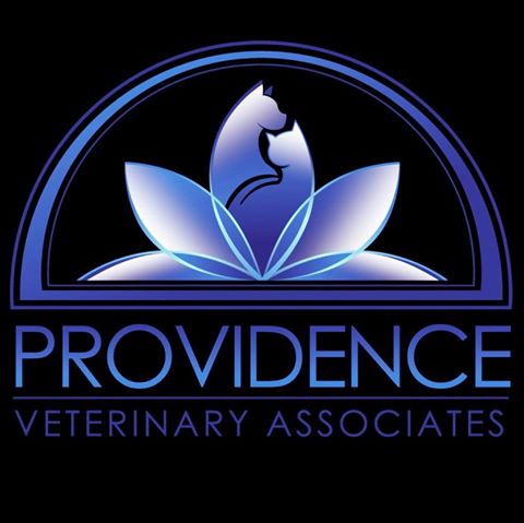 Providence South Veterinary Associates - Waxhaw , United States