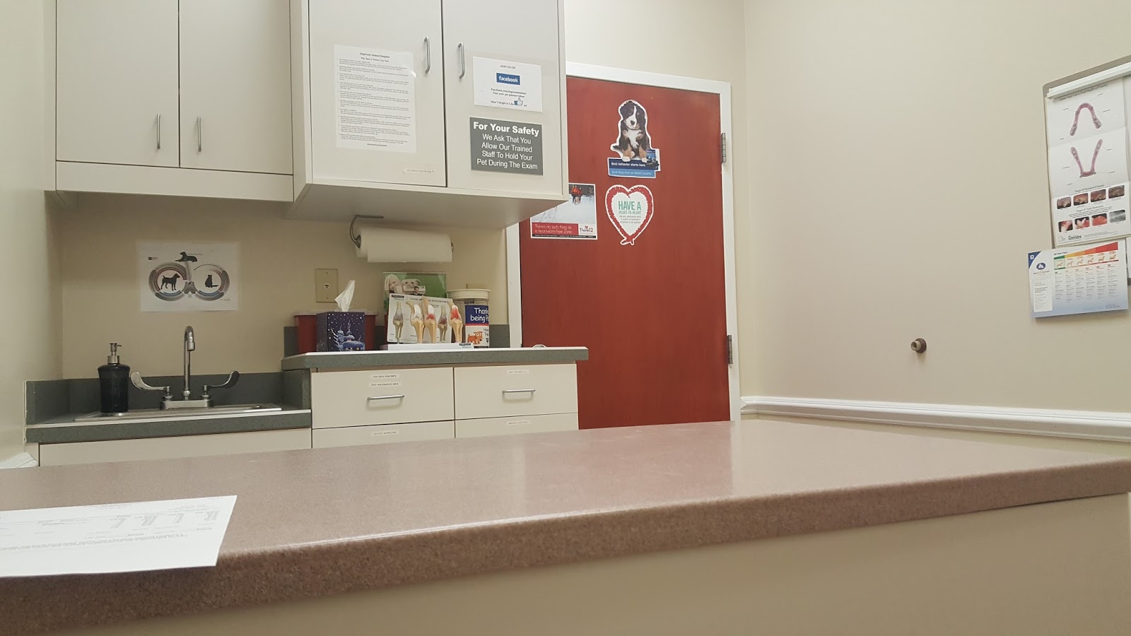 Dogwood Animal Hospital - Fayetteville , United States
