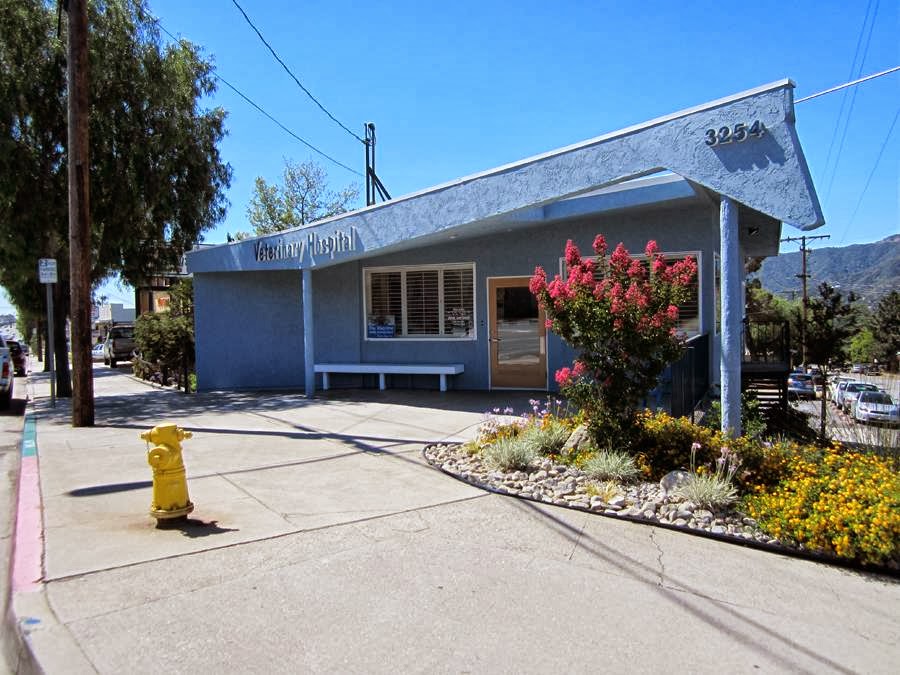 Crescenta Valley Veterinary Hospital - La Crescenta-Montrose , United States