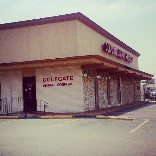 Gulfgate Animal Hospital - Houston , United States