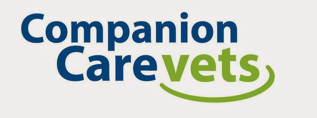 Companion Care Croydon - Croydon , United Kingdom