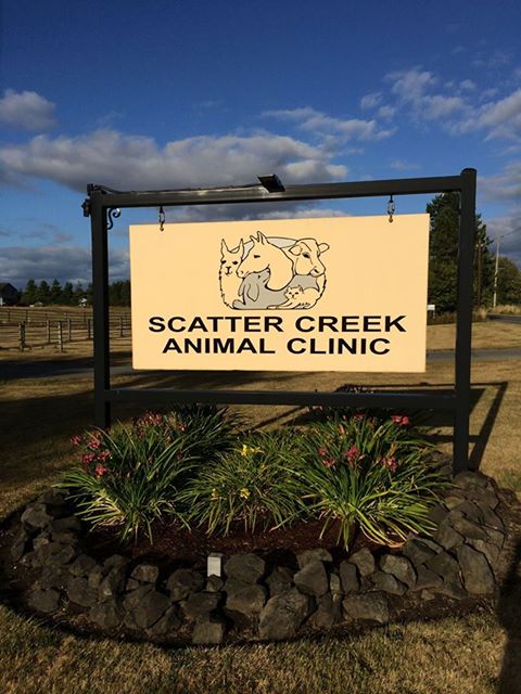 Scatter Creek Animal Clinic - Rochester , United States