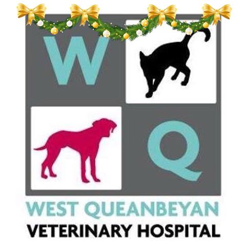 West Queanbeyan Veterinary Hospital - Queanbeyan , Australia
