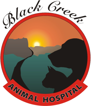Black Creek Animal Hospital - Acton , Canada