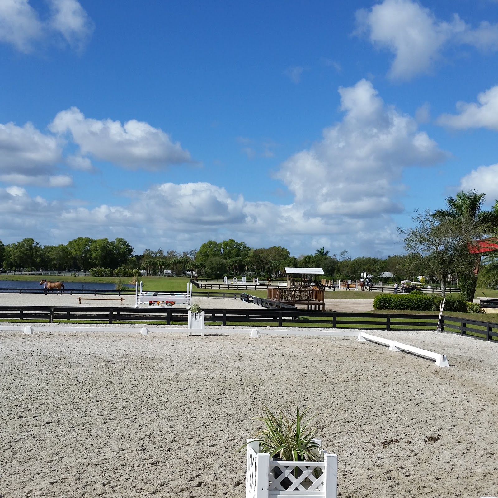 Palm Beach Equine Clinic - Wellington , United States