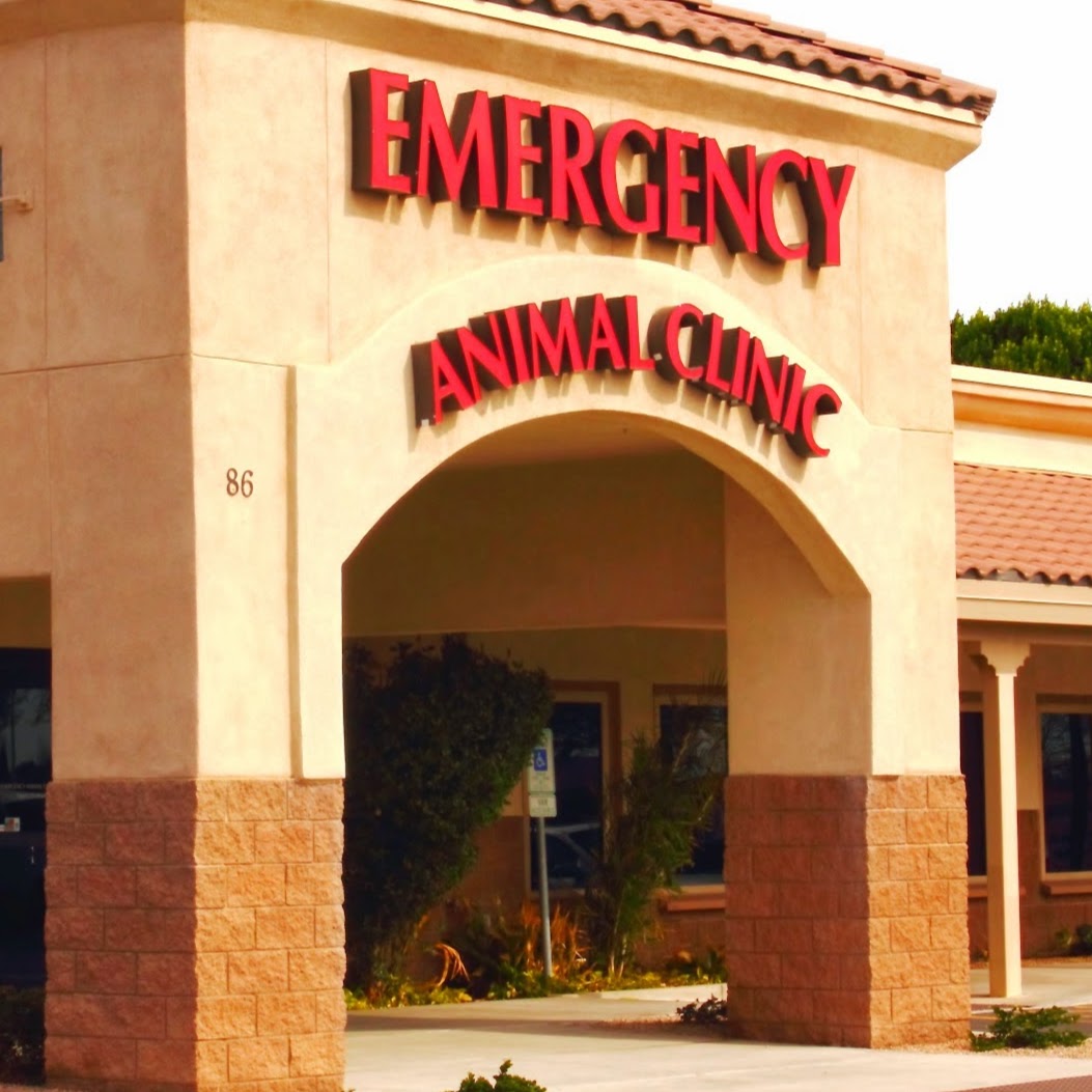 Arizona Veterinary Emergency And Critical Care Center Aveccc - Gilbert , United States