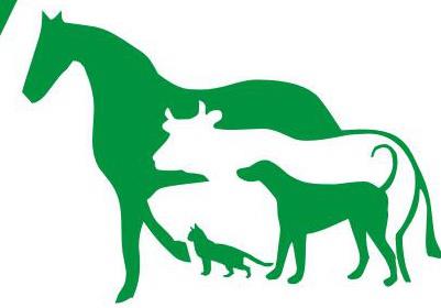 Dodge City Veterinary Hospital A Thrive Pet Healthcare Partner - Denham Springs , United States