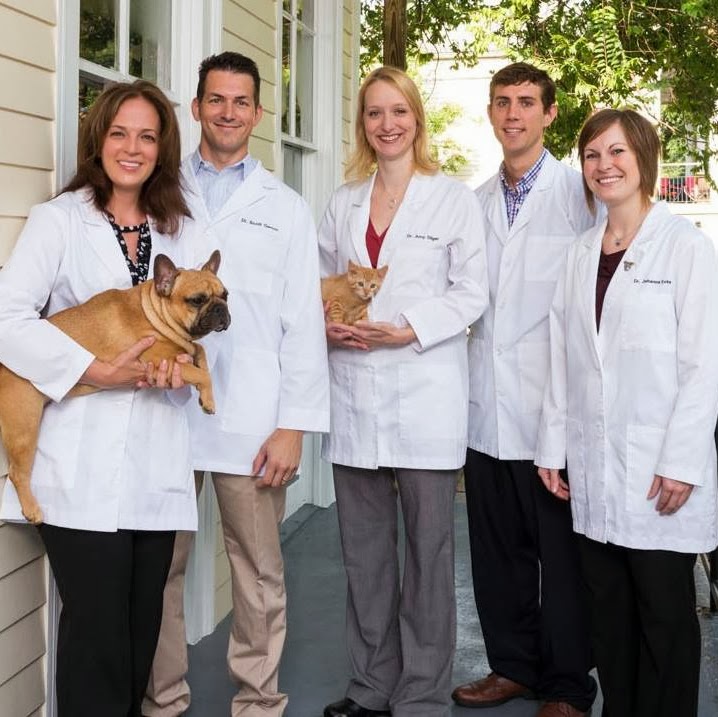 Magazine Street Animal Clinic - New Orleans , United States