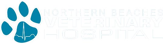 Northern Beaches Veterinary Hospital - Rural View , Australia