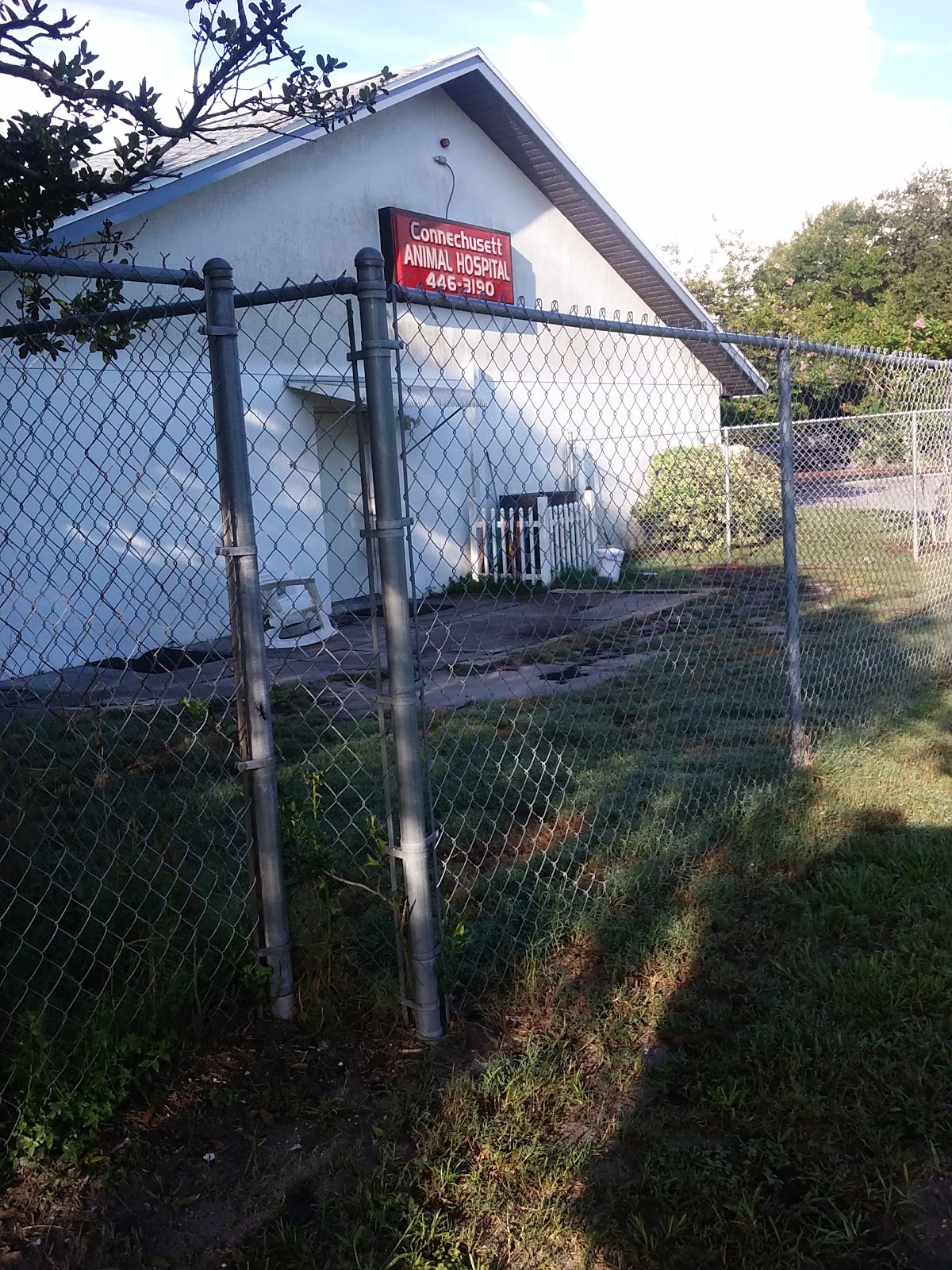 Connechusett Animal Hospital - Clearwater , United States