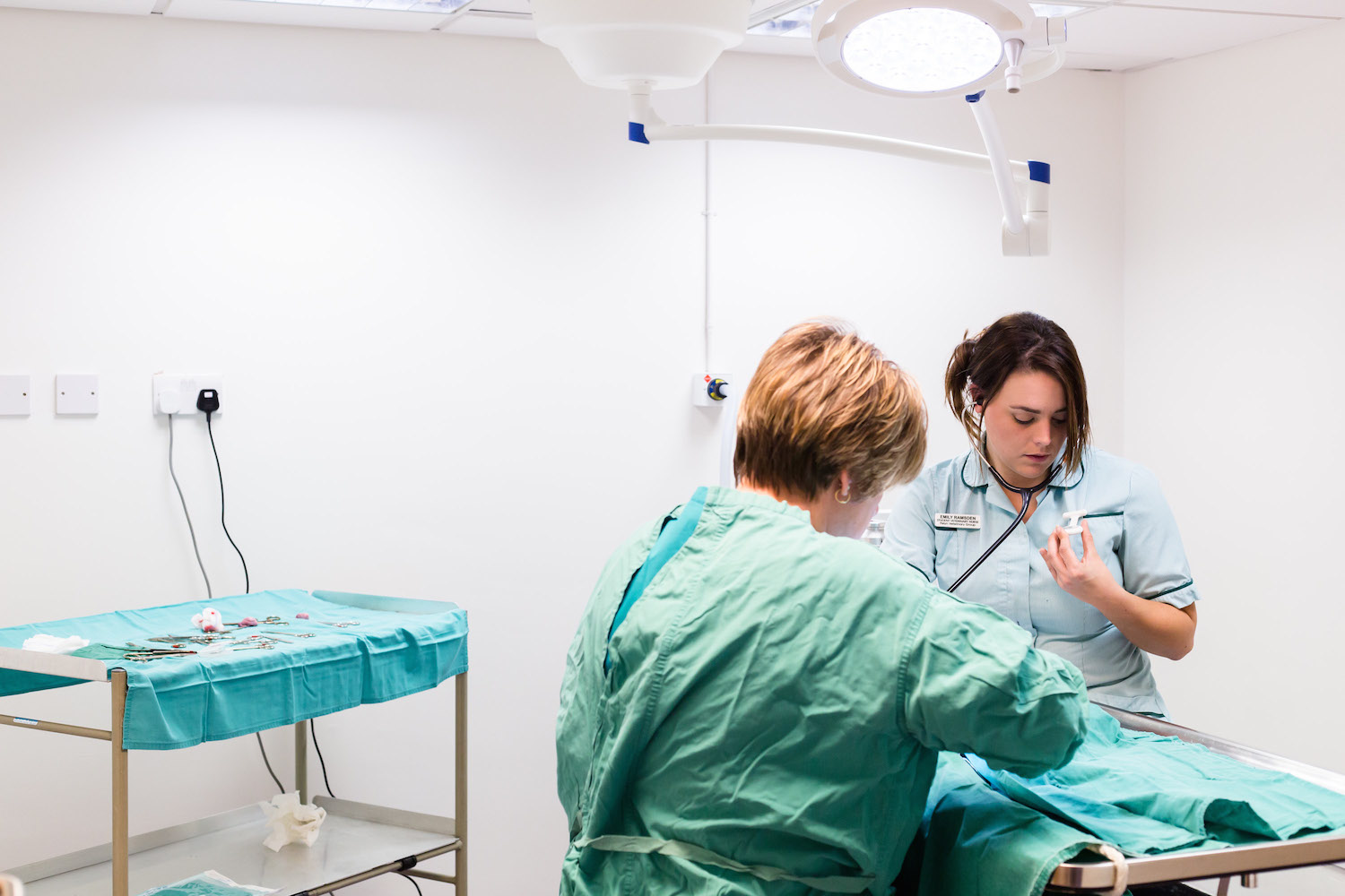 Pelyn Vets - Saint Austell , United Kingdom