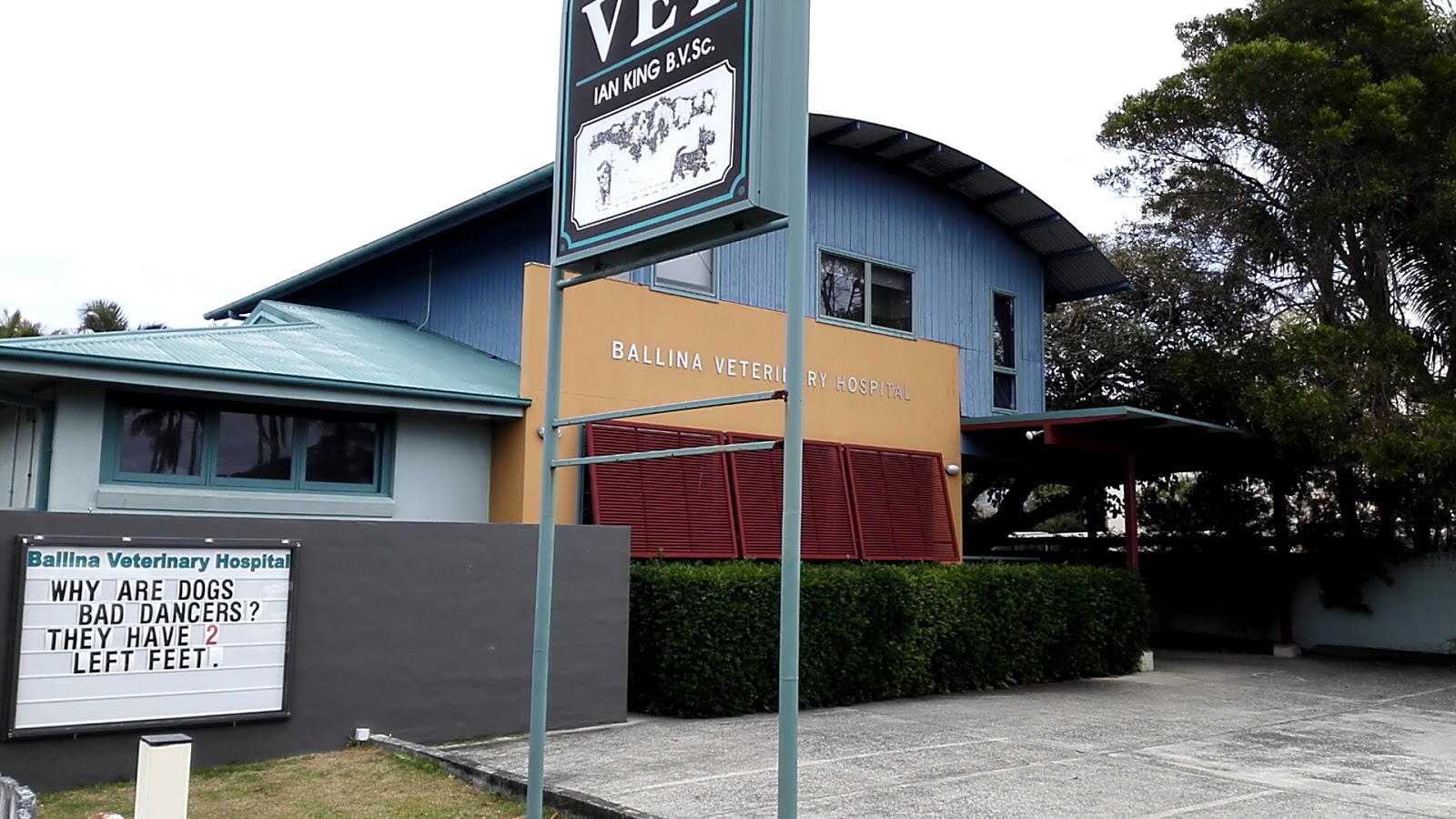 Ballina Veterinary Hospital - Ballina , Australia
