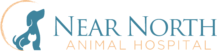 Near North Animal Hospital - Chicago , United States