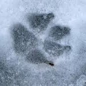 Vets Love Pets Oromocto - Oromocto , Canada