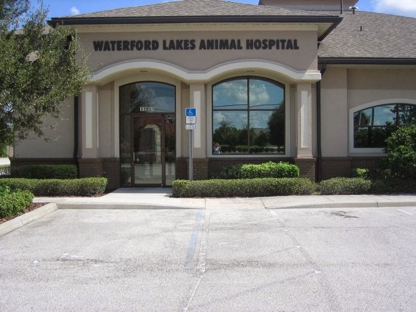 Waterford Lakes Animal Hospital - Orlando , United States