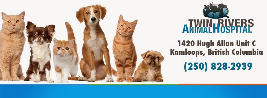 Twin Rivers Animal Hospital - Kamloops , Canada