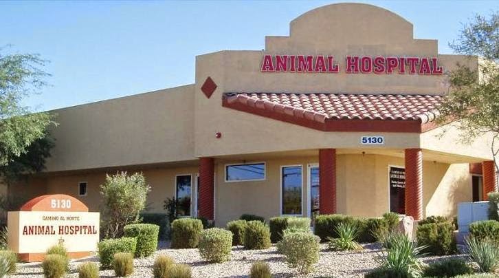Camino Al Norte Animal Hospital - North Las Vegas , United States