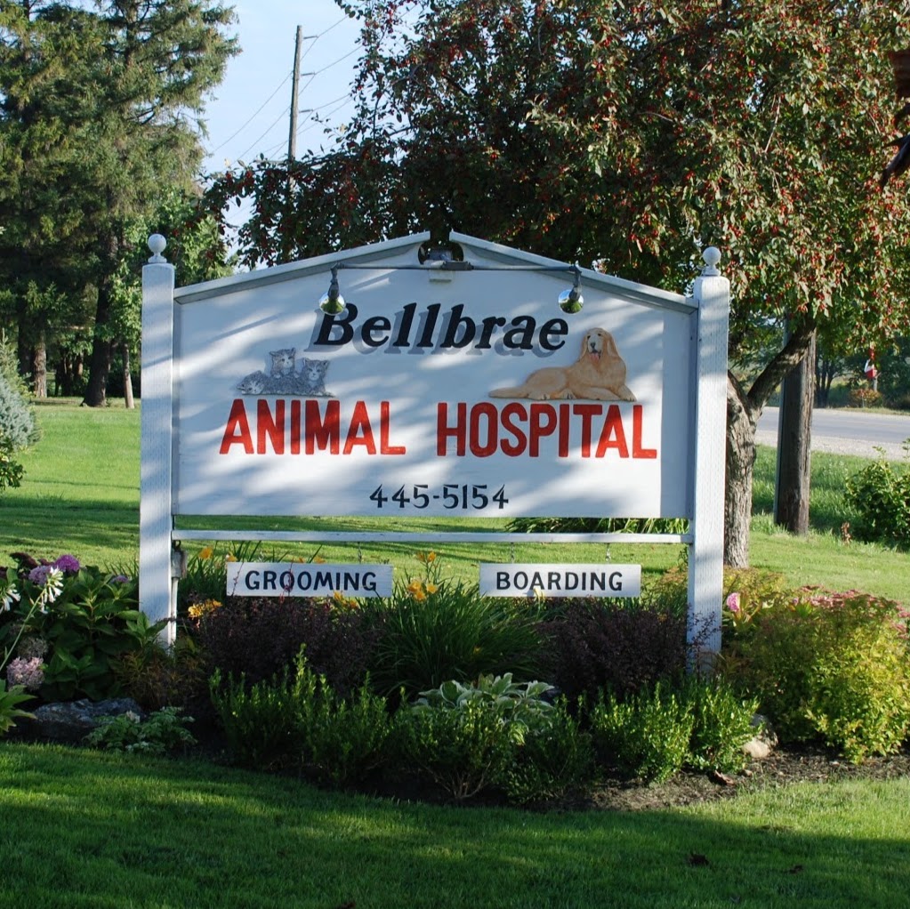 Vca Canada Bellbrae Animal Hospital - Collingwood , Canada