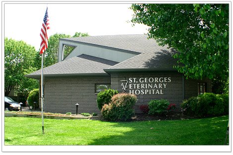 St Georges Veterinary Hospital - Avenel , United States