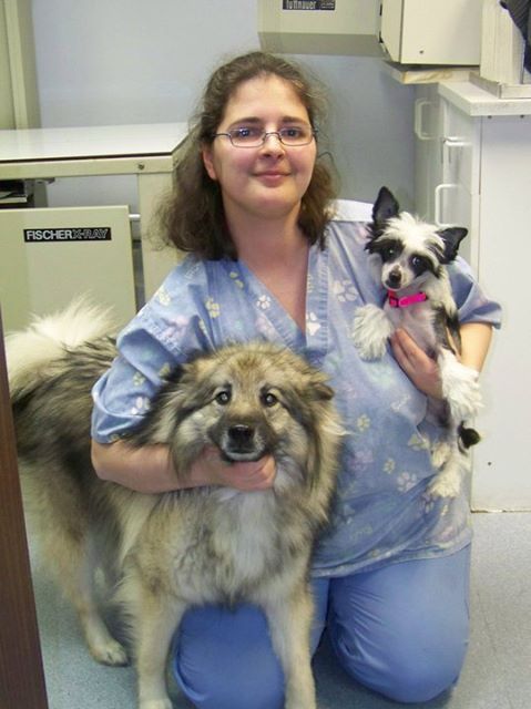 Robbinsville Veterinary Clinic: Swiderski Edward Vmd - Robbinsville Twp , United States