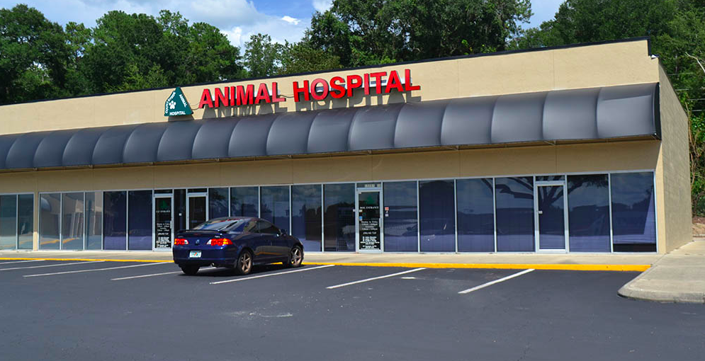Countryside Animal Hospital - Alachua , United States
