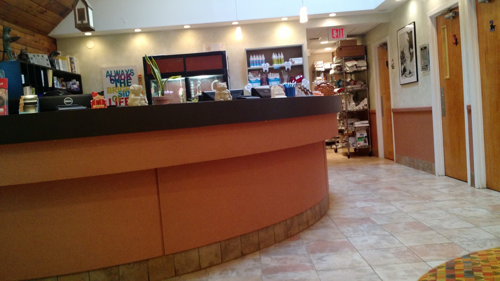 Animal Medical Of New City - New City , United States