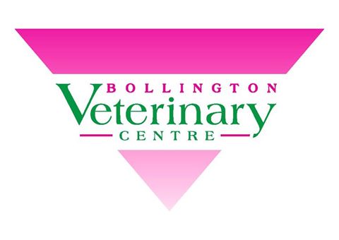 Bollington Veterinary Centre - Macclesfield , United Kingdom