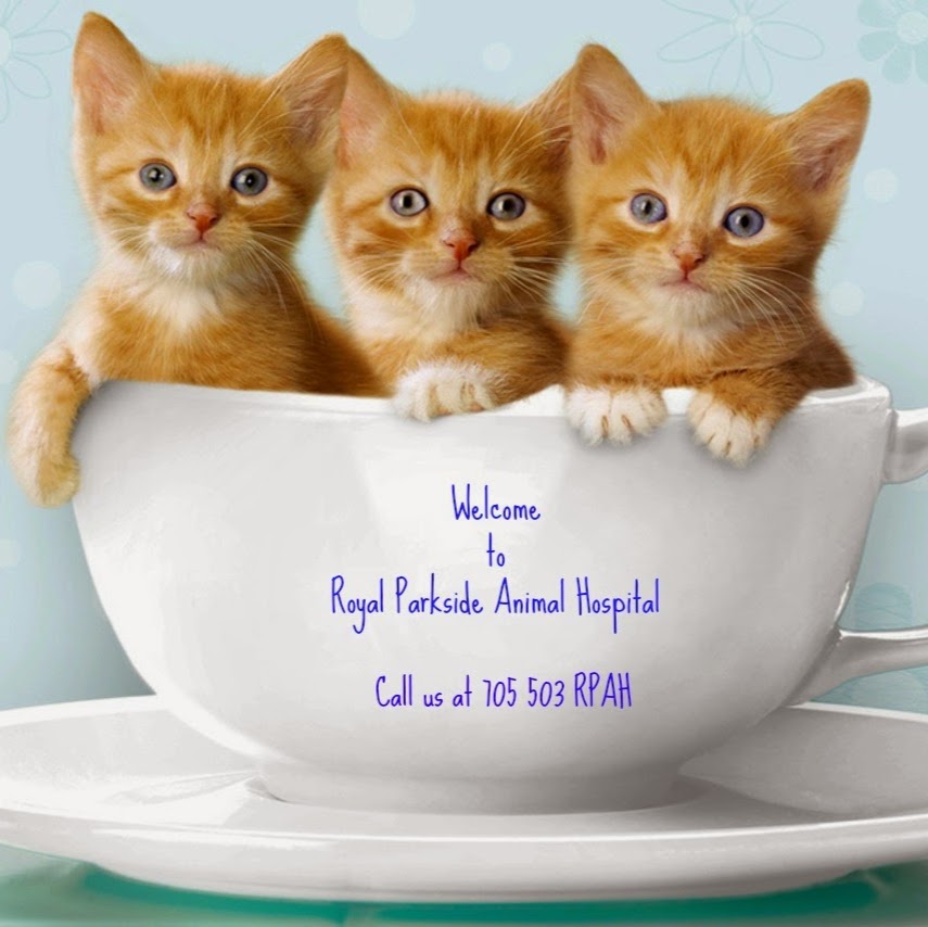 Royal Parkside Animal Hospital - Barrie , Canada
