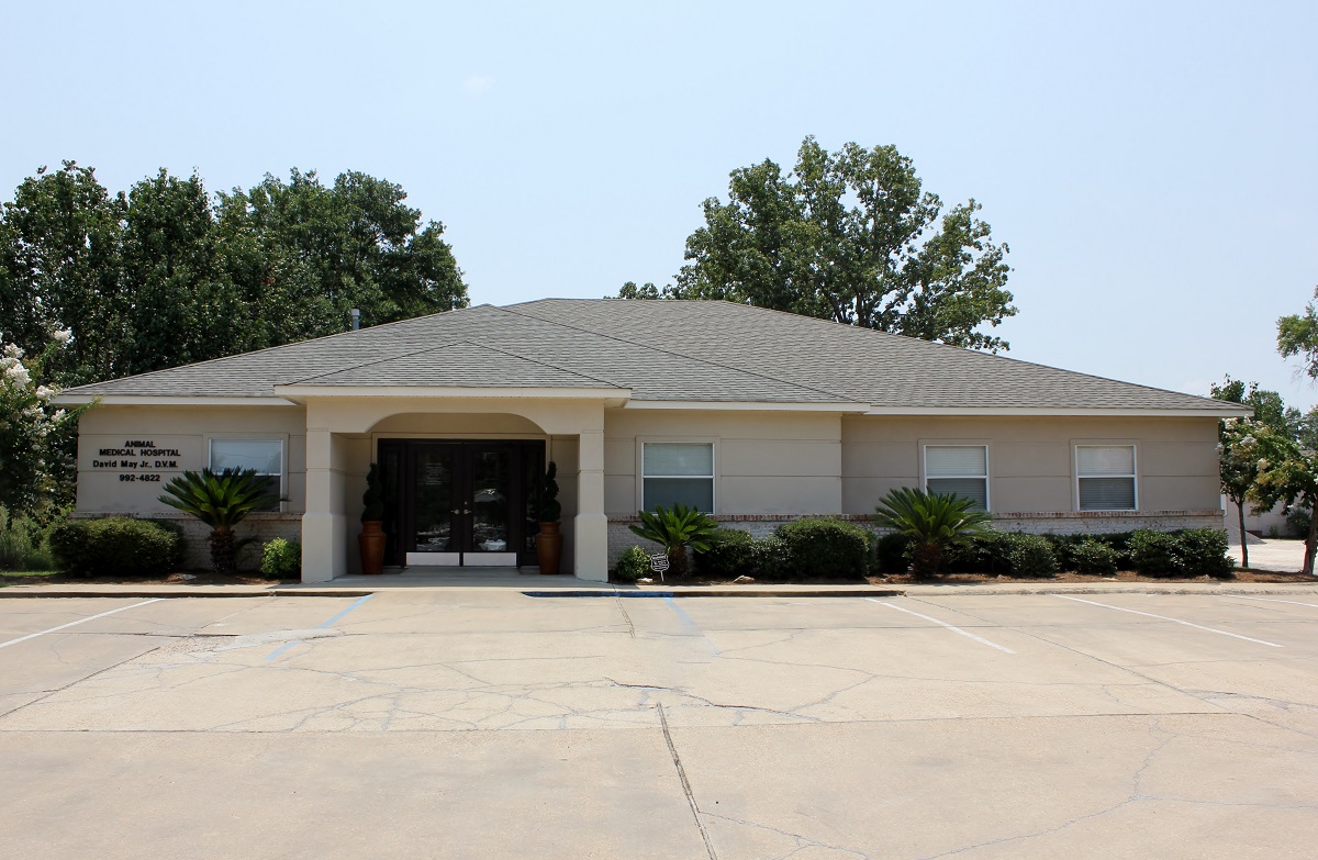 Animal Medical Hospital - Brandon , United States