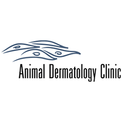 Animal Dermatology Clinic - Pasadena , United States