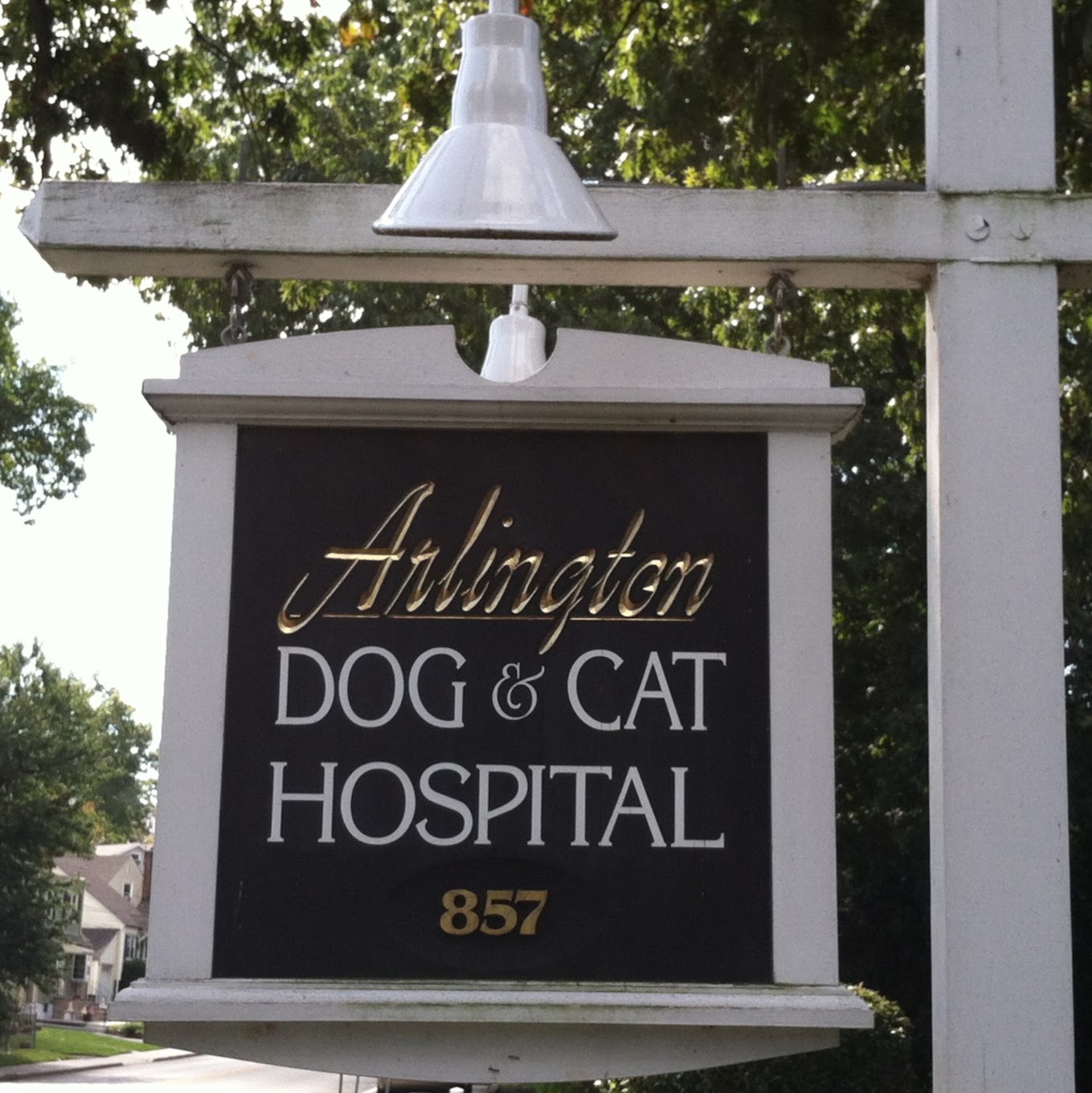 Arlington Dog And Cat Hospital - Kearny , United States