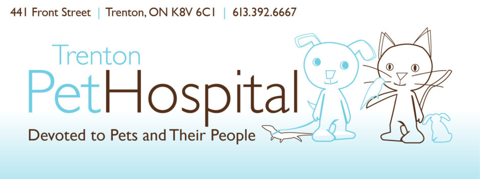 Trenton Pet Hospital - Trenton , Canada