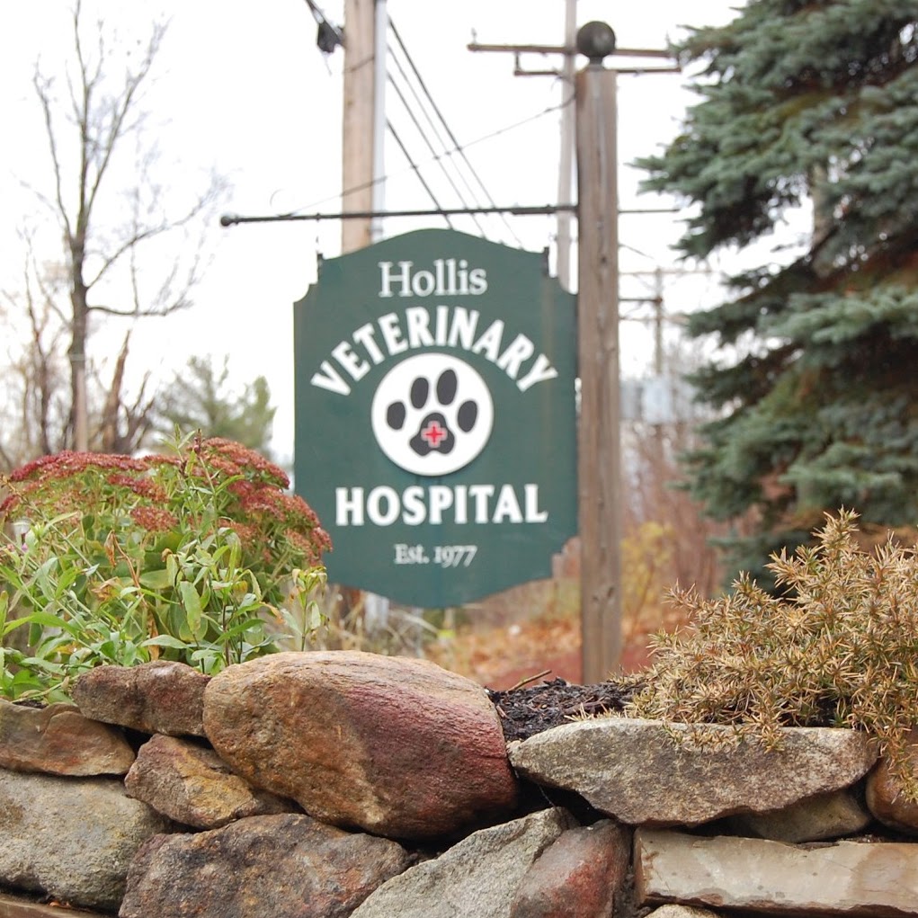 Hollis Veterinary Hospital - Hollis , United States
