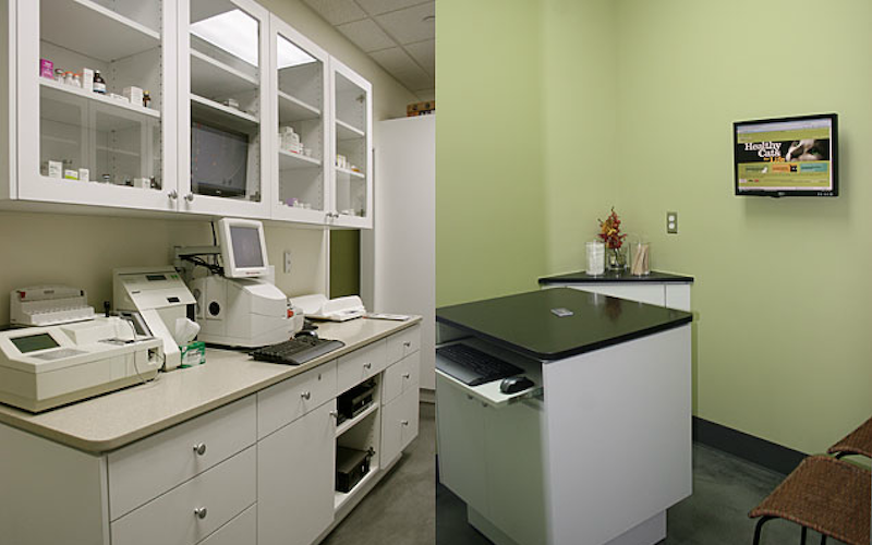 The Cat Hospital - Marina Del Rey , United States