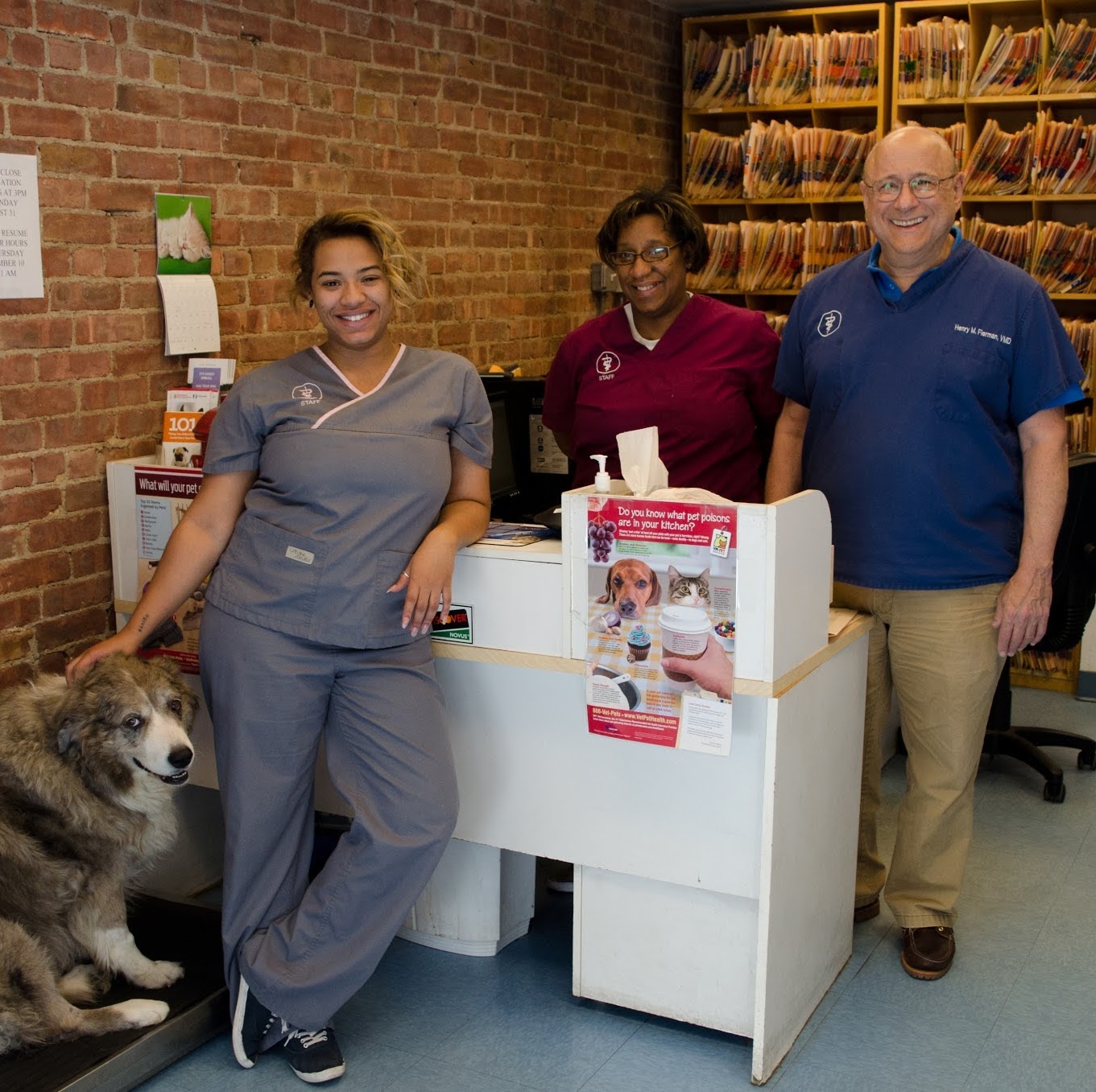 Cathedral Dog and Cat Hospital - New York , United States