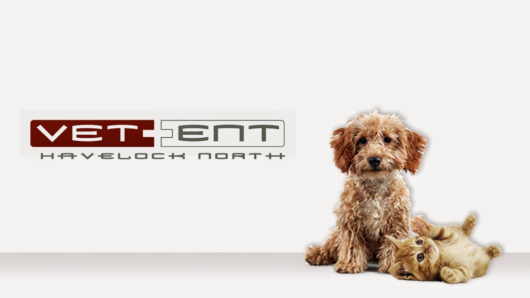Petfirst Veterinary Havelock North - Havelock North , New Zealand