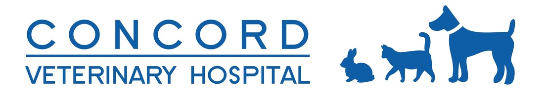 Concord Veterinary Hospital - North Strathfield , Australia