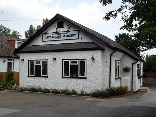 Shinfield Vets - Reading , United Kingdom