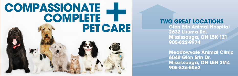 Glen Erin Animal Hospital - Mississauga , Canada