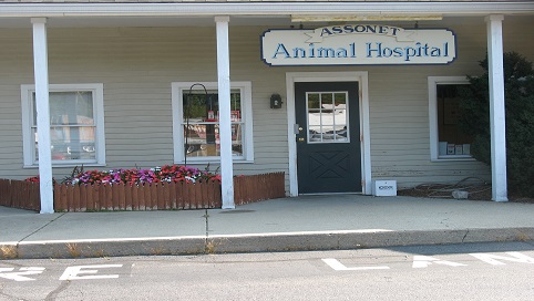 Assonet Animal Hospital - Assonet , United States