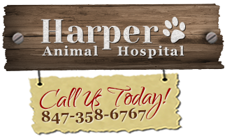 Harper Animal Hospital - Palatine , United States