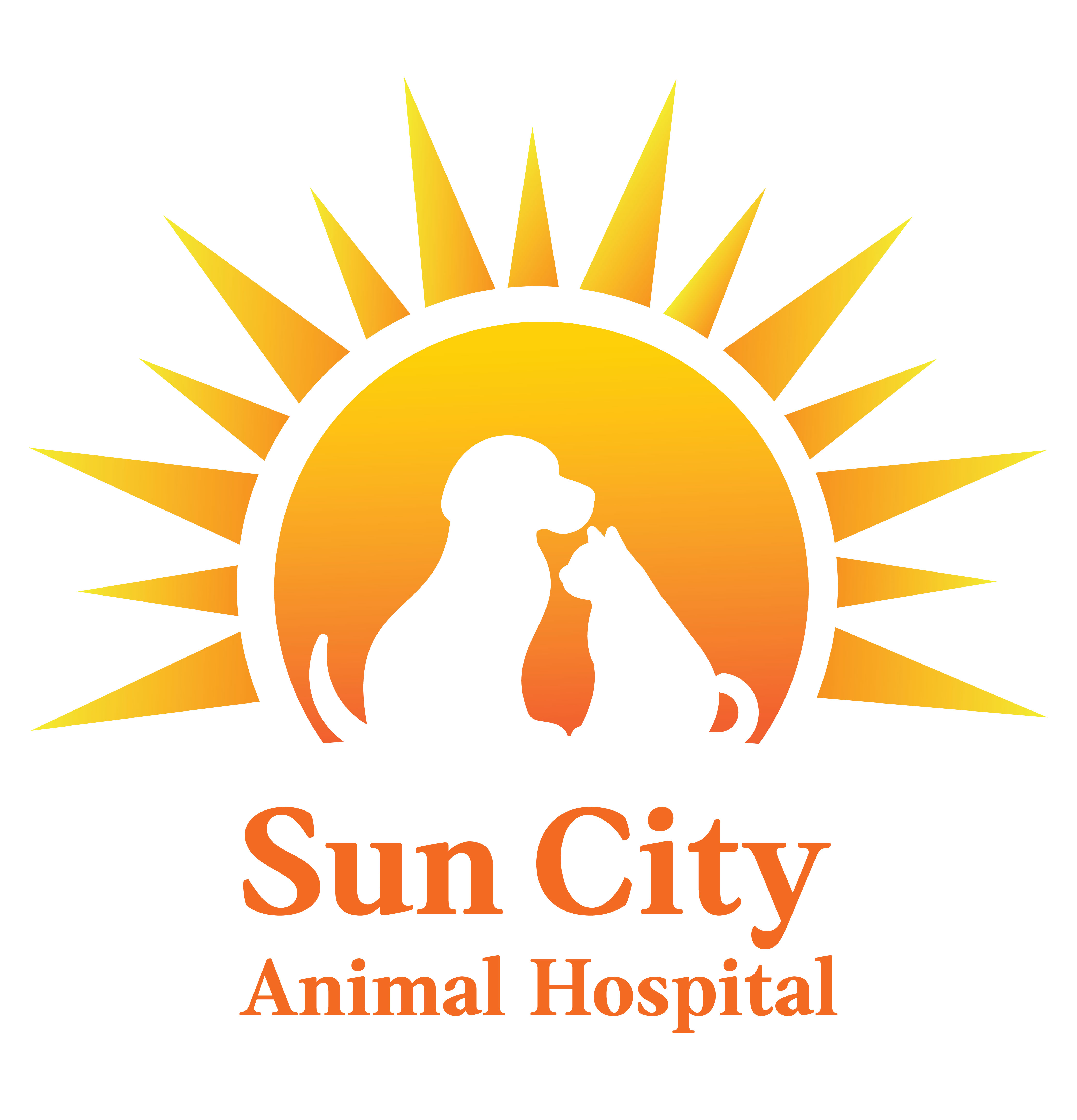 Sun City Animal Hospital Indian Land Fort Mill Vet - Fort Mill , United States