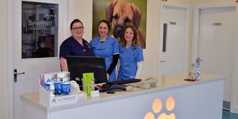 Briarhill Veterinary Clinic - Galway Technology Park , Ireland