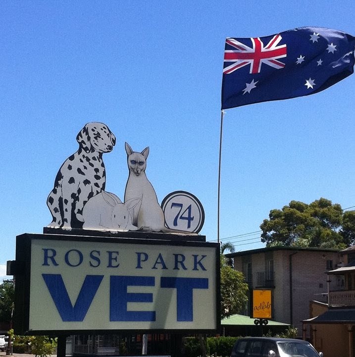Rose Park Vet - Rose Park , Australia
