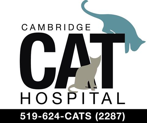 Cambridge Cat Hospital - Cambridge , Canada